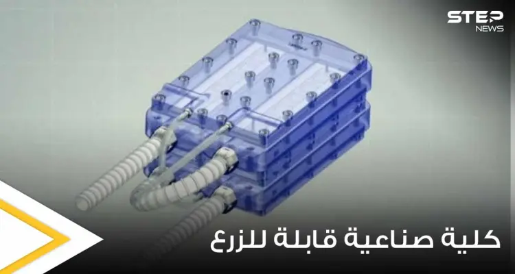 اختراع علمي مذهل.. علماء يبتكرون أول كلية صناعية قابلة للزرع قد تكون طوق النجاة: أخبار