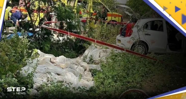 بالفيديو || لحظة تنفيذ "عملية الغور" والشرطة الإسرائيلية تدعو لحمل السلاح: أخبار