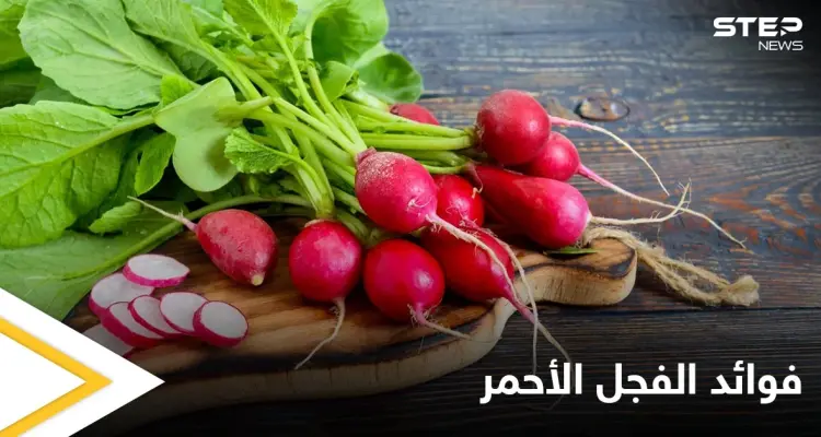 يمتلك تأثيراً سحرياً على صحة القلب والأوعية.. الفجل الأحمر خواص صحية كثيرة تعرف عليها: أخبار