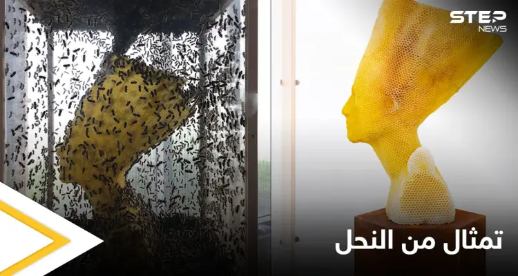 شاهد بالصور|| فنان يستخدم جيشاً من النحل لصناعة منحوتة "الخلود" التي تمثل الملكة نفرتيتي: أخبار