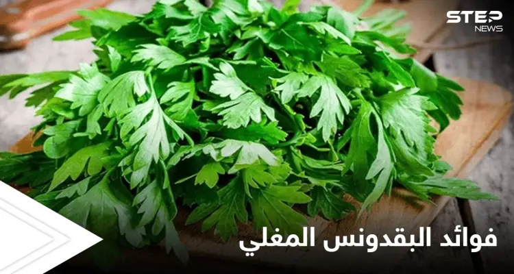 منها علاج الفقر الدم.. فوائد كثيرة لشرب البقدونس المغلي قبل النوم تعرف عليها: أخبار