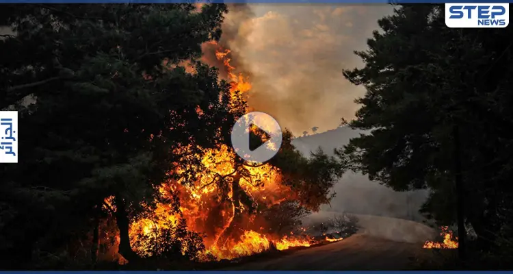 بالفيديو|| حرائق ضخمة في الجزائر تجتاح مدناً عدة وتسقط ضحايا.. والسلطات توضح: أخبار