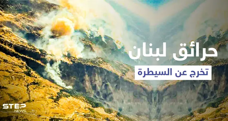 القبيات تحترق يتصدر ترند لبنان.. ومشاهد مروعة توثق الحرائق المشتعلة (فيديو وصور): أخبار