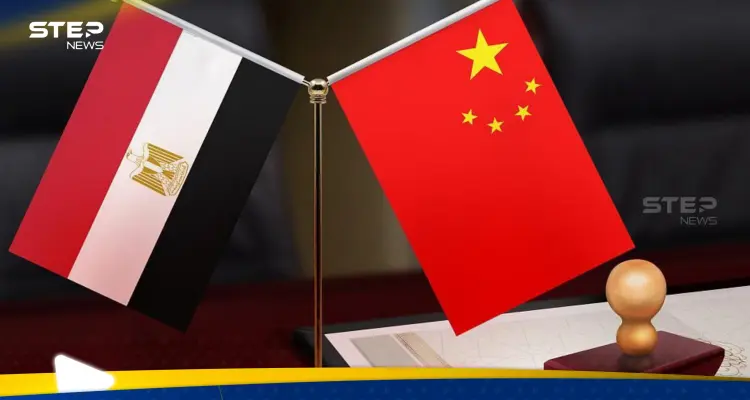 "مطلب واحد".. مصر والصين متفقتان بشأن ملف غزة والحل النهائي فيه: أخبار