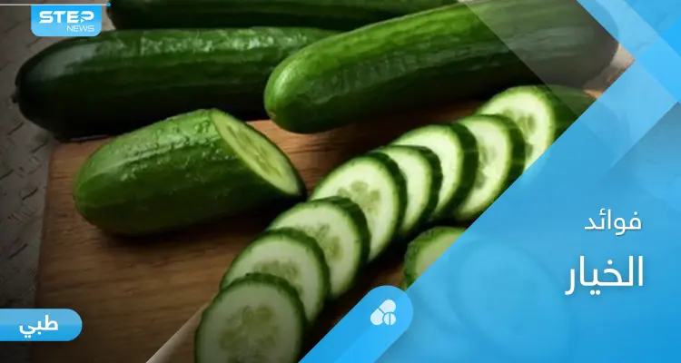 كيف يعمل الخيار على خفض ضغط الدم ودوره في تخفيف الوزن وفوائد أخرى تعرف عليها: أخبار