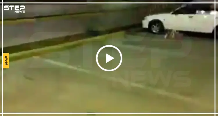 شاهد مخلوق غريب يتجول في السعودية: أخبار