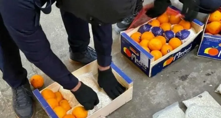 السعودية تُحبط شحنة ضخمة من حبوب الكبتاغون مُخبأة داخل البرتقال: أخبار