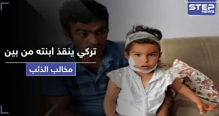 شاهد كيف أنقذ رجل تركي ابنته الصغيرة من بين مخالب ذئب: أخبار