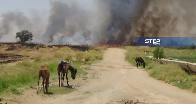 عدسة ستيب ترصد الحرائق في الأراضي الزراعية قرب ناحية الجرنية غرب الرقة: أخبار