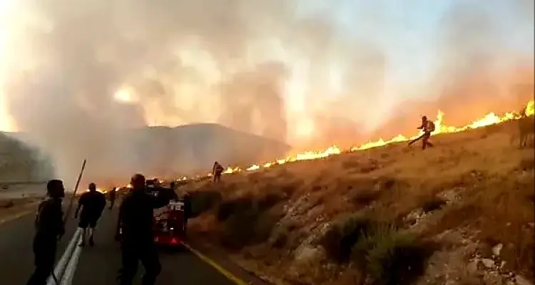 حريق ضخم على حدود الأردن وإسرائيل قرب خط الغاز يهدد بكارثة: أخبار