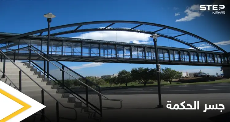 ليكمل طفلها تعليمه... أم تنفق 154 ألف دولار على بناء جسر من حسابها الخاص يوصله للمدرسة بأمان: أخبار