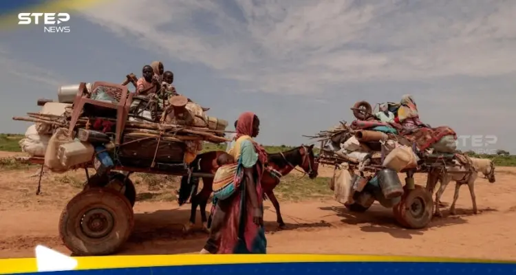 منظمة عالمية تحذر.. دولة عربية على شفا "أكبر أزمة جوع في العالم": أخبار