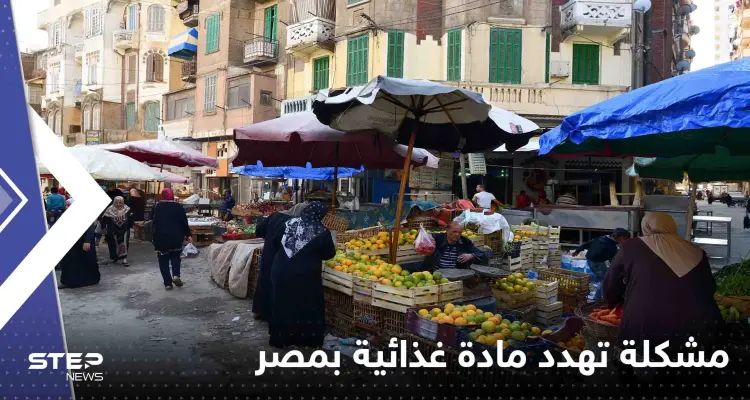 "مشكلة خطيرة" في مصر قد تؤدي لاختفاء البيض.. ومسؤول يحذر: أخبار