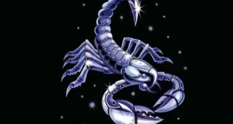 مميزات وعيوب برج العقرب المرأة والرجل: أخبار