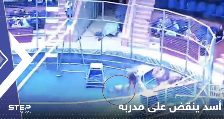 بالفيديو|| أسد ينقض على مدربه في سيرك روسي وزوجته تتحول لبطلة وتواجه الليث: أخبار