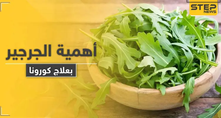 الجرجير فوائده وميزاته.. ودوره المذهل في معالجة فيروس كورونا: أخبار