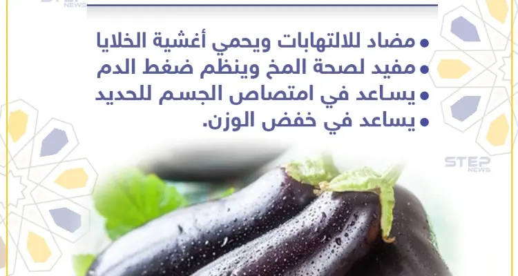 معلومة رمضانية - فوائد الباذنجان: أخبار