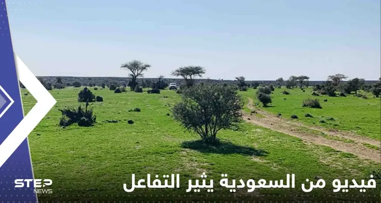 شاهد|| فيديو من السعودية يثير التفاعل ويعيد تداول حديث للنبي الكريم عن قيام الساعة: أخبار