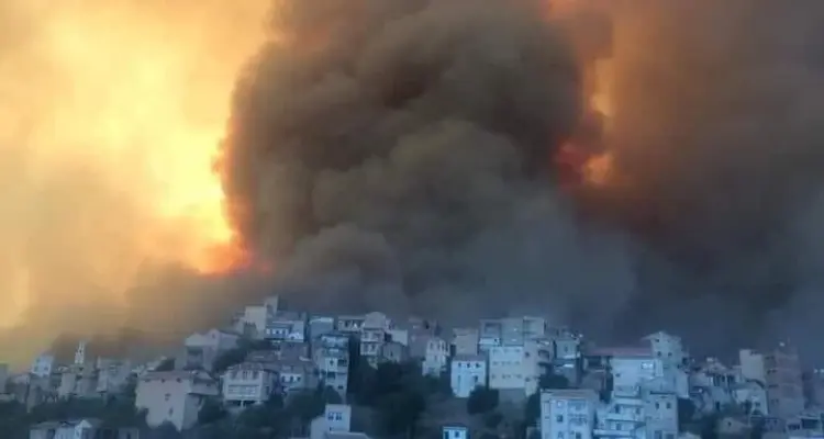 بالفيديو|| لحظات مروعة يعيشها سكان تيزي وزو.. مع ارتفاع أعداد الضحايا وزير الداخلية الجزائري يؤكد أنها "مفتعلة": أخبار