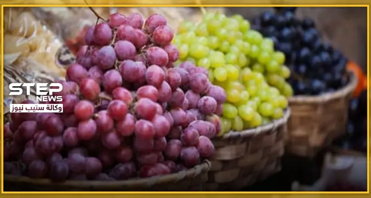 أنواع العنب وفوائده الغذائية المتنوعة وأهميته الصحية: أخبار