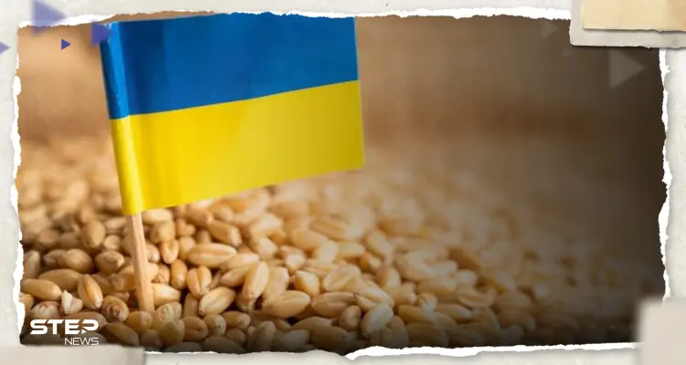 أوكرانيا تقترح على تركيا استمرار صفقة الحبوب بدون روسيا وموسكو ترد: أخبار