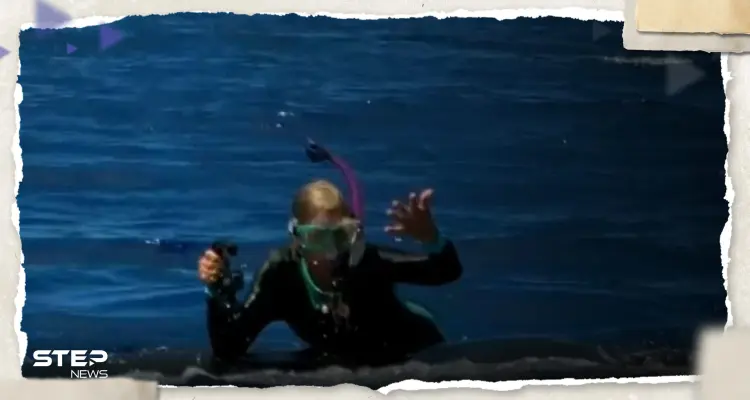 بالفيديو|| حوت أحدب ضخم ينقذ عالمة أحياء من فكّي سمكة قرش بقاع البحر: أخبار