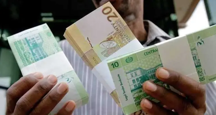 السودان يبدأ تعويماً جزئياً للعملة وتعليمات من البنك المركزي: أخبار