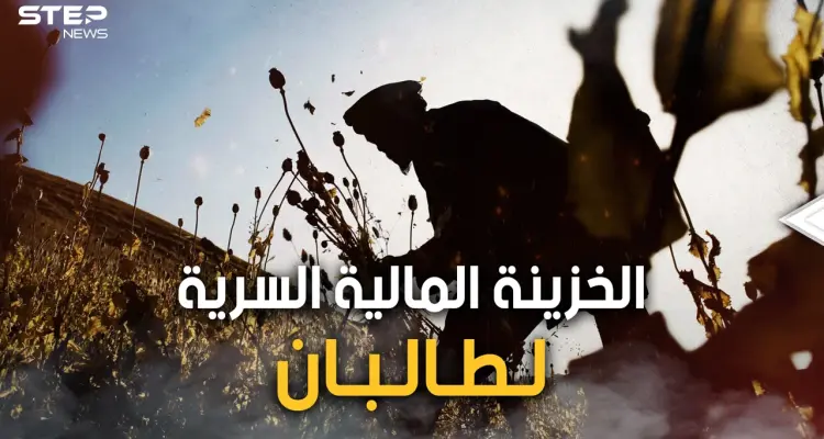 الذهب الأبيض أو النفط الأخضر.. الأفيون تجارة طالبان الرابحة والسلاح الذي تهدد به الغرب: أخبار