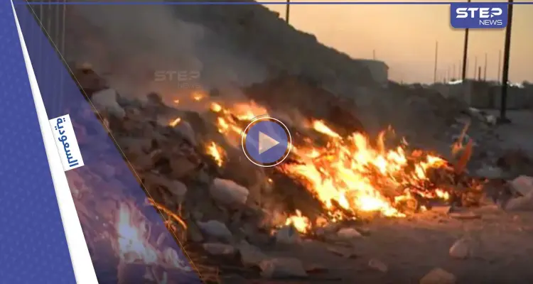 بالفيديو|| بظاهرة غير مألوفة.. الأفاعي والعقارب تهاجم أحد الأحياء بالسعودية وتتسب بحالة هلع بين الأهالي: أخبار