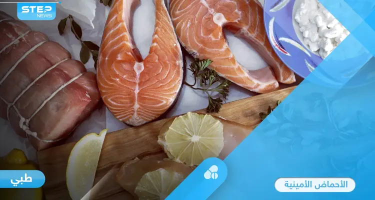 ما هي الأحماض الأمينية وأهم المصادر الغذائية التي توفرها للجسم: أخبار