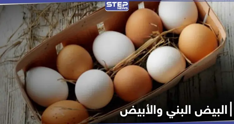 هل تساءلت يوماً عن الفرق بين البيض البني والأبيض.. إليك الإجابة: أخبار