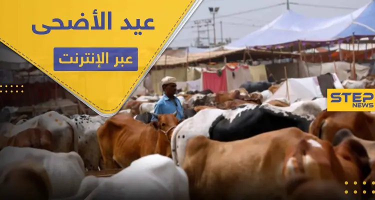 دولة مسلمة تحث مواطنيها على ذبح الأضاحي عبر الإنترنت هذا العيد.. وتبرر موقفها: أخبار