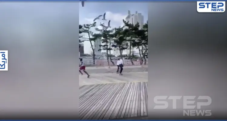 بالفيديو|| طيور النورس.. تلاحق رجلًا أمريكيًا وسط شارع عام وهو يركض بهلع منها: أخبار