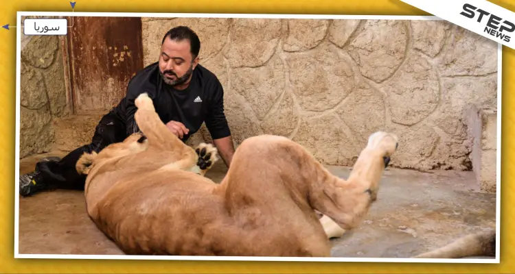 لسبب لن تتوقعه.. سوري يحول منزله إلى حديقة للحيوانات الكاسرة والنادرة (فيديو): أخبار