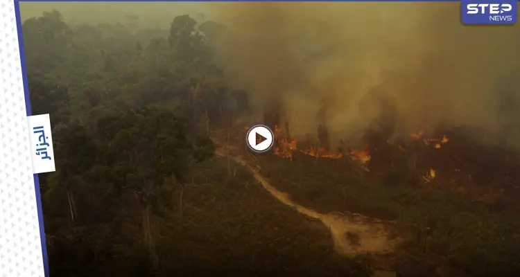 بالفيديو|| مشاهد من يوم القيامة بالجزائر.. الحرائق تحاصر الناس واستخدام أكبر مروحية بالعالم لإطفاء النار: أخبار