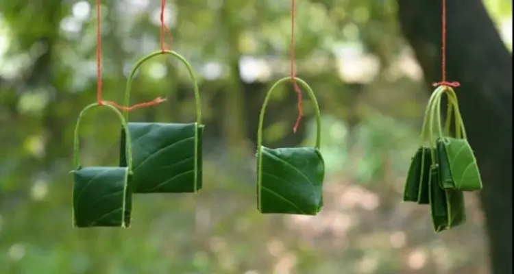 لـ زيادة الخصوبة وعلاج السكري والسرطان والسمنة.. 10 فوائد لأوراق المانجو ستصدمك: أخبار