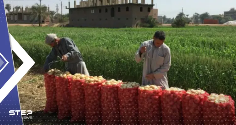 بعد البيض والدجاج.. أزمة بصل "عابرة للحدود" ومصر قد تستفيد: أخبار