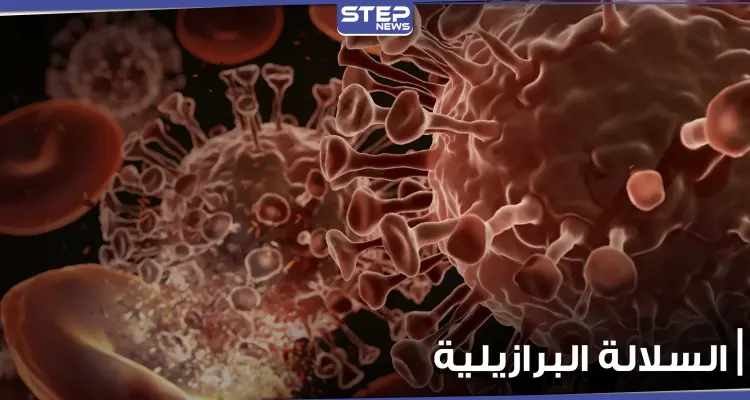 "البرازيل تشكل تهديداً للبشرية".. وفيات كورونا تتجاوز المستويات الطبيعية ومخاوف من انهيار النظام الصحي: أخبار