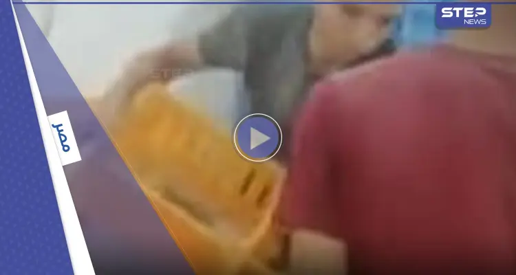 بالفيديو|| قتل مئات الكتاكيت خنقاً يثير ضجة في مصر وتعليق وزارة الزراعة: أخبار