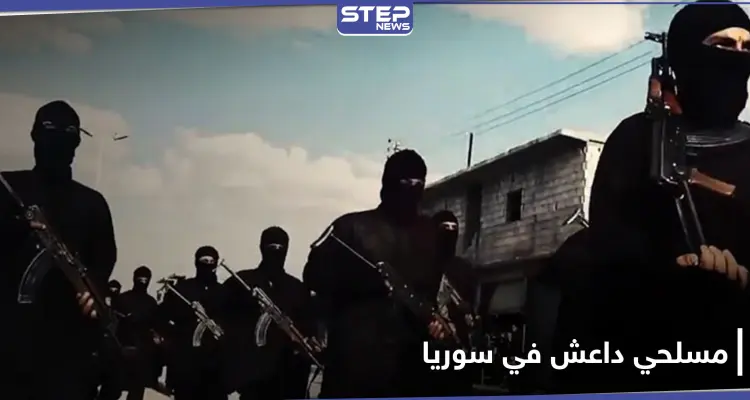 يُشكّلون جيشاً.. الأمم المتحدة تكشف عدد مسلحي داعش النشطين في سوريا والعراق: أخبار