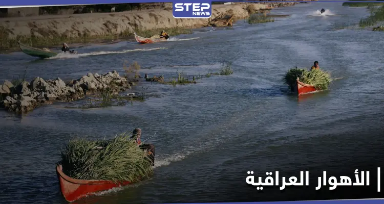 الأهوار العراقية.. نداءات عاجلة من الأمم المتحدة بشأنها وأمريكا تستجيب: أخبار