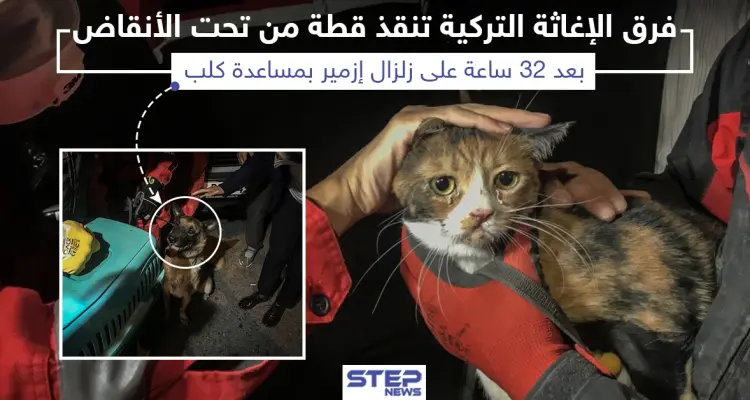 عقب 32 ساعة إنقاذ قطة من تحت أنقاض زلزال أزمير: أخبار