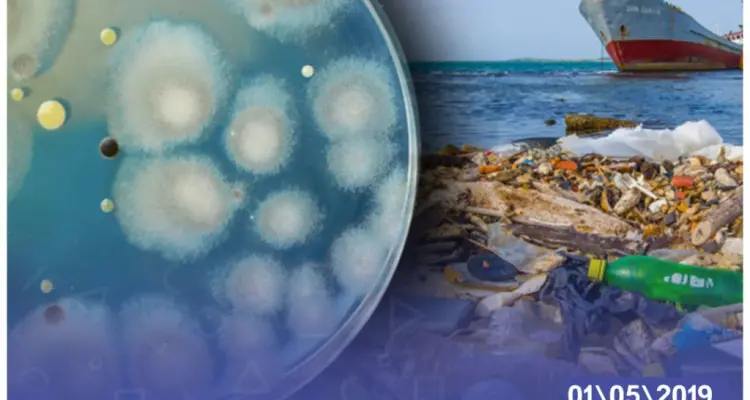 فطر يمكنه أن يأكل البلاستيك اكتشفه علماء في باكستان: أخبار