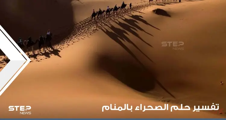 تفسير حلم الصحراء في المنام ماذا يعني أن ترى الصحراء في المنام بجميع الأحوال: أخبار