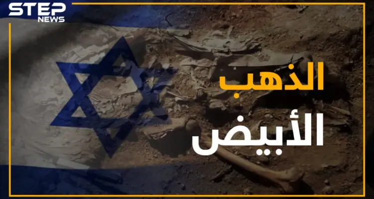 من العام 1982.. ما هو الكنز الذي يبحث عنه النظام في باطن الأرض؟: أخبار