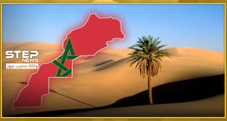 حيوان غريب في صحراء المغرب العربي.. وعلماء الآثار يوضحون: أخبار