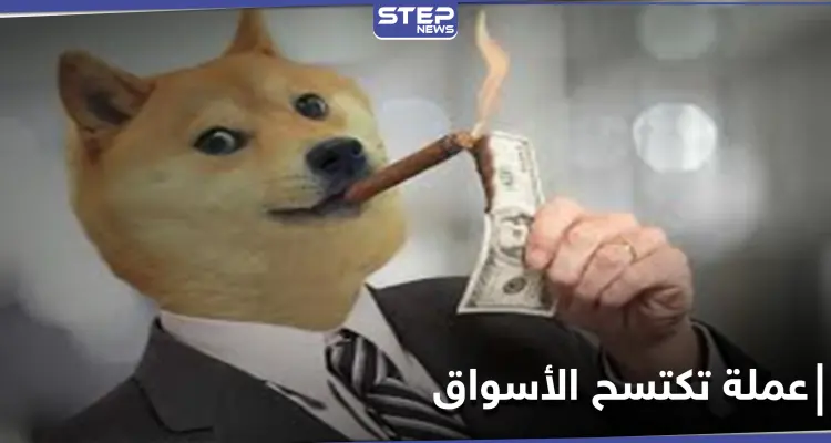 من عملة مشفرة مغمورة إلى اكتساح الأسواق العالمية.. عملة دوجكوين و"التغريدة السّر"!: أخبار