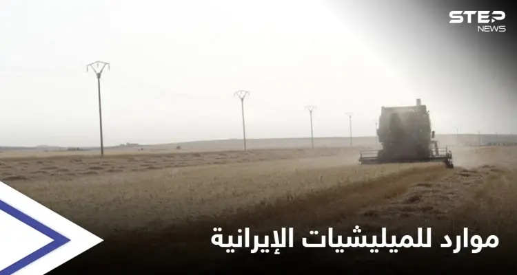 إما القبول أو المصادرة.. ميليشيات إيرانية تفرض على فلاحي دير الزور مقاسمة أرباح محاصيلهم: أخبار