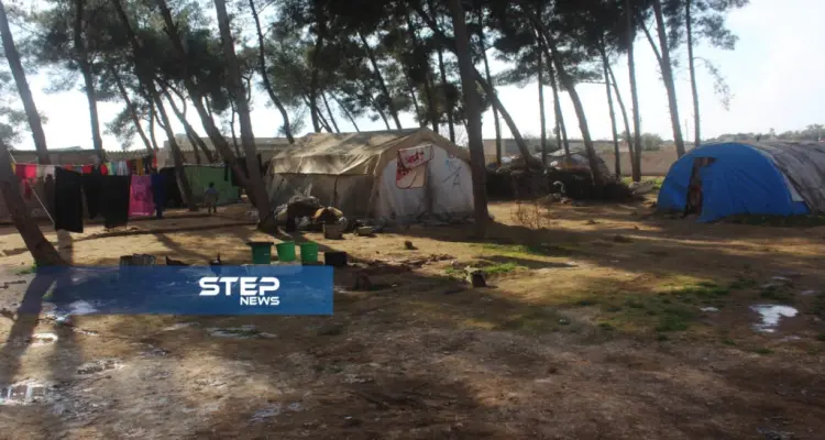 ملخص أحداث سوريا – الثلاثاء 26 -02- 2019: أخبار