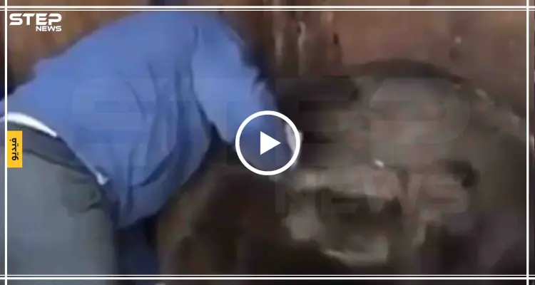 مصارع روسي يتدرب في سجنه مع الدببة (فيديو): أخبار